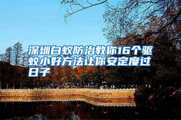 深圳白蟻防治教你16個驅蚊小好方法讓你安定度過日子