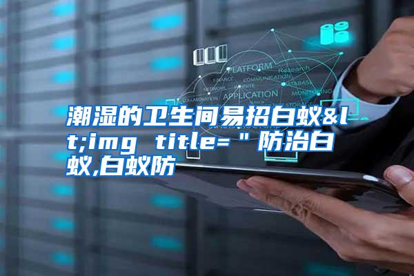 潮濕的衛(wèi)生間易招白蟻<img title="防治白蟻,白蟻防