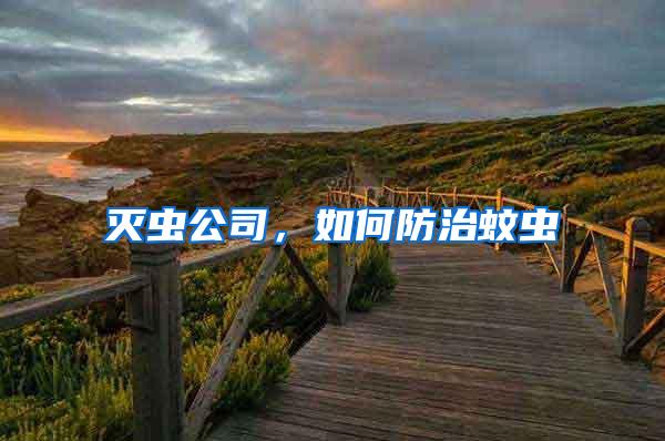 滅蟲公司,如何防治蚊蟲