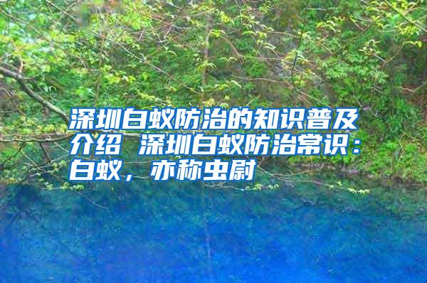 深圳白蟻防治的知識普及介紹 深圳白蟻防治常識:白蟻,亦稱蟲尉