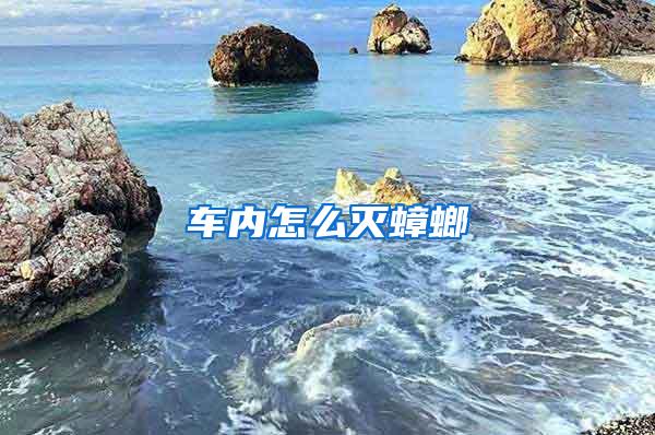 車內(nèi)怎么滅蟑螂