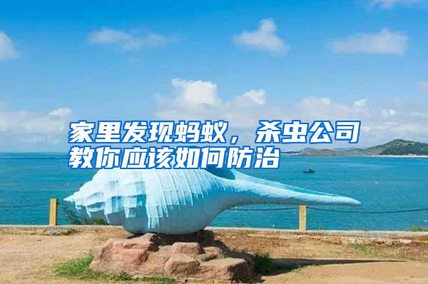 家里發(fā)現(xiàn)螞蟻,殺蟲公司教你應(yīng)該如何防治