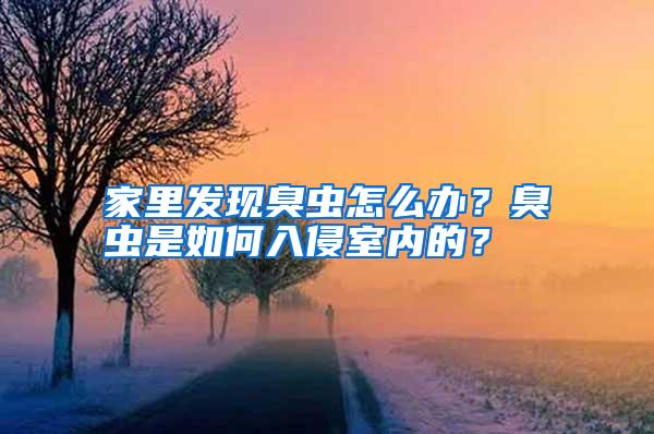 家里發(fā)現(xiàn)臭蟲怎么辦?臭蟲是如何入侵室內(nèi)的?