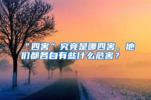“四害”究競是哪四害,他們都各自有些什么危害?