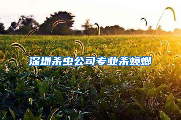 深圳殺蟲公司專業(yè)殺蟑螂