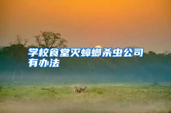 學校食堂滅蟑螂殺蟲公司有辦法