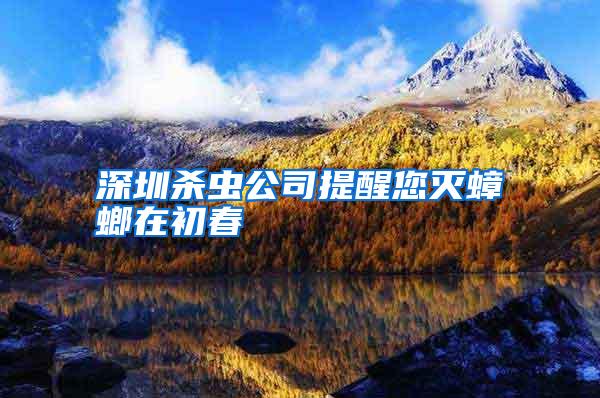 深圳殺蟲公司提醒您滅蟑螂在初春