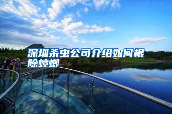 深圳殺蟲公司介紹如何根除蟑螂