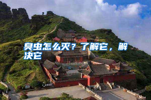 臭蟲怎么滅?了解它,解決它