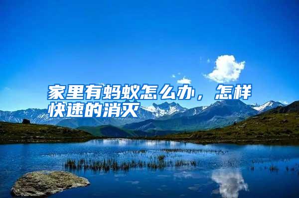 家里有螞蟻怎么辦,怎樣快速的消滅