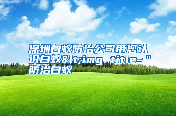 深圳白蟻防治公司帶您認(rèn)識(shí)白蟻<img title="防治白蟻