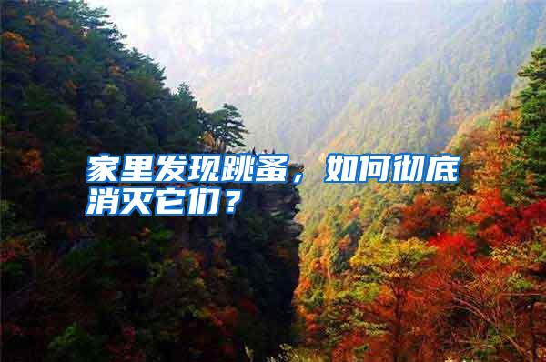 家里發(fā)現(xiàn)跳蚤,如何徹底消滅它們?