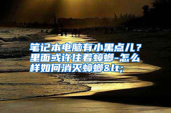 筆記本電腦有小黑點(diǎn)兒?里面或許住著蟑螂-怎么樣如何消滅蟑螂<