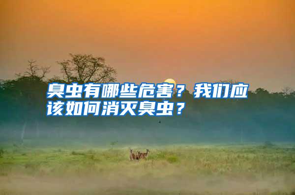 臭蟲有哪些危害?我們應(yīng)該如何消滅臭蟲?