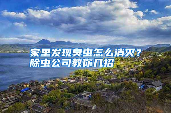 家里發(fā)現(xiàn)臭蟲怎么消滅?除蟲公司教你幾招
