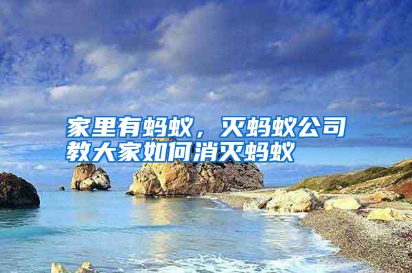 家里有螞蟻,滅螞蟻公司教大家如何消滅螞蟻