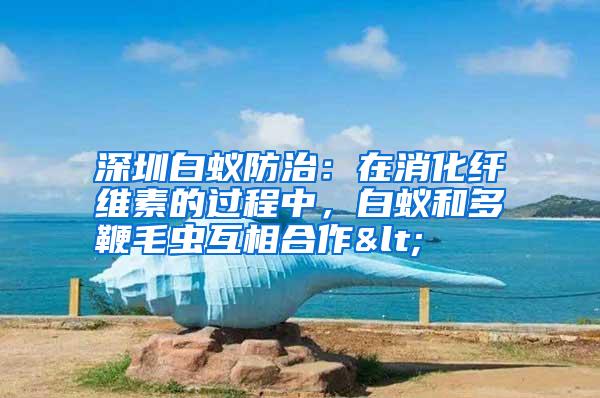 深圳白蟻防治:在消化纖維素的過程中,白蟻和多鞭毛蟲互相合作<