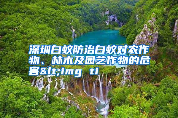 深圳白蟻防治白蟻對農(nóng)作物、林木及園藝作物的危害<img ti