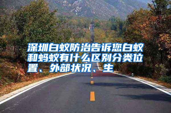 深圳白蟻防治告訴您白蟻和螞蟻有什么區(qū)別分類位置、外部狀況、生