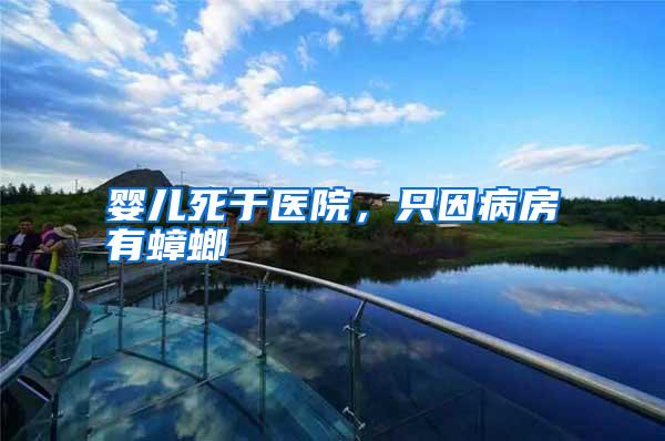 嬰兒死于醫(yī)院,只因病房有蟑螂