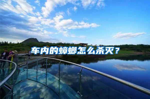 車內(nèi)的蟑螂怎么殺滅?