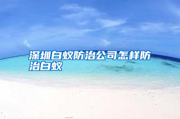 深圳白蟻防治公司怎樣防治白蟻
