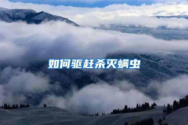 如何驅趕殺滅螨蟲