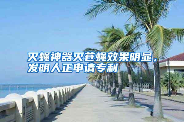 滅蠅神器滅蒼蠅效果明顯,發(fā)明人正申請專利