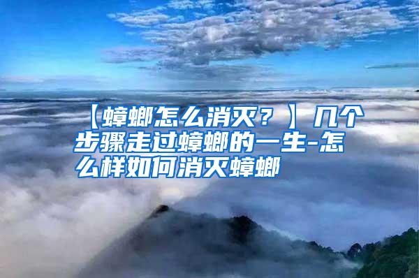 【蟑螂怎么消滅?】幾個(gè)步驟走過(guò)蟑螂的一生-怎么樣如何消滅蟑螂