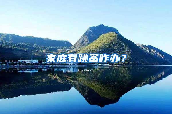 家庭有跳蚤咋辦?