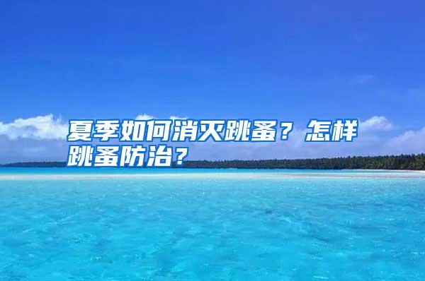 夏季如何消滅跳蚤?怎樣跳蚤防治?