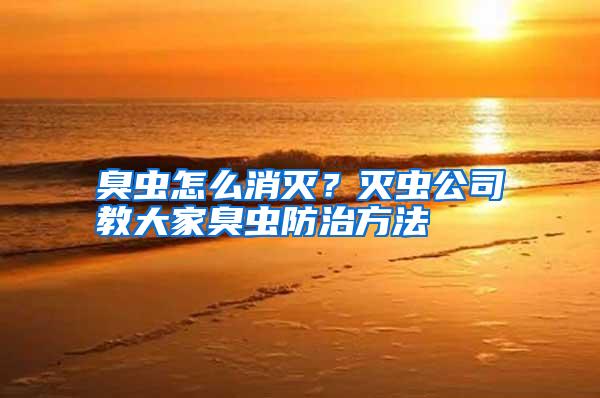 臭蟲怎么消滅?滅蟲公司教大家臭蟲防治方法