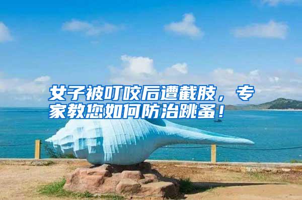 女子被叮咬后遭截肢,專家教您如何防治跳蚤!