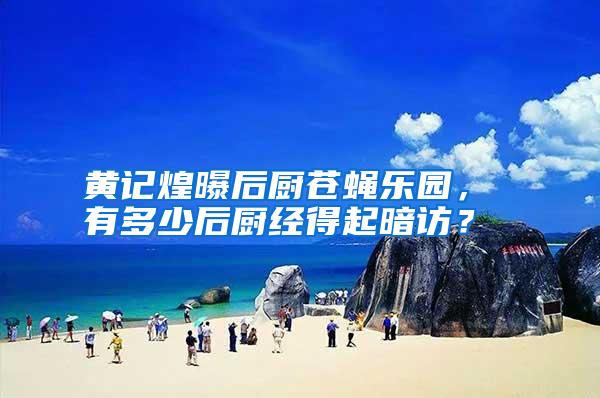 黃記煌曝后廚蒼蠅樂園, 有多少后廚經(jīng)得起暗訪?