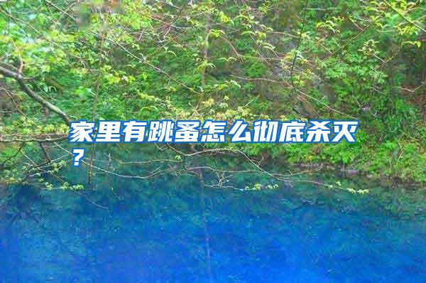 家里有跳蚤怎么徹底殺滅?