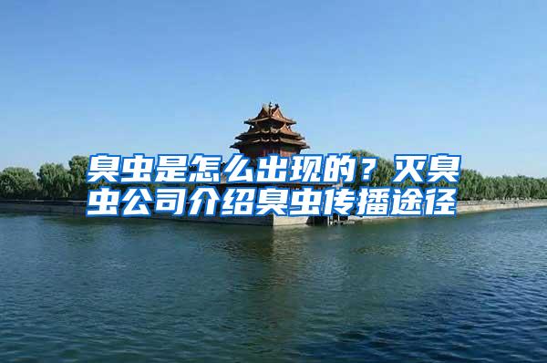 臭蟲(chóng)是怎么出現(xiàn)的?滅臭蟲(chóng)公司介紹臭蟲(chóng)傳播途徑