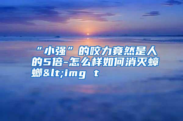 “小強(qiáng)”的咬力竟然是人的5倍-怎么樣如何消滅蟑螂<img t