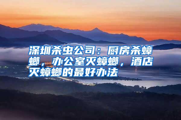 深圳殺蟲公司:廚房殺蟑螂,辦公室滅蟑螂,酒店滅蟑螂的最好辦法