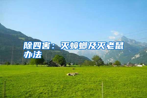 除四害:滅蟑螂及滅老鼠辦法