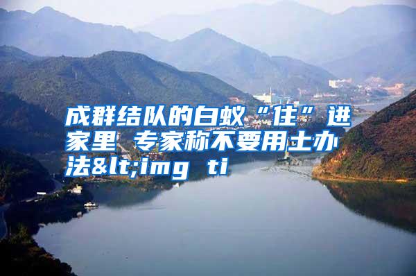 成群結(jié)隊的白蟻“住”進家里 專家稱不要用土辦法<img ti