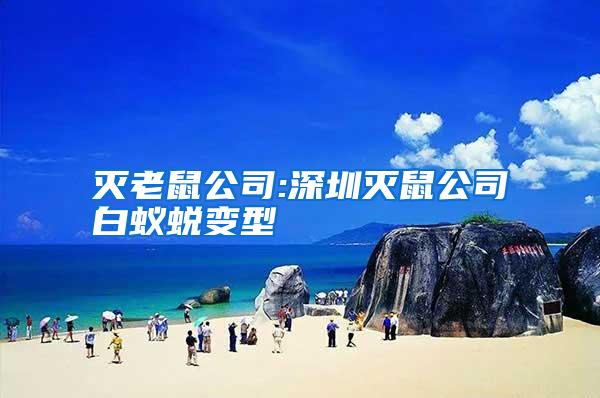 滅老鼠公司:深圳滅鼠公司白蟻蛻變型