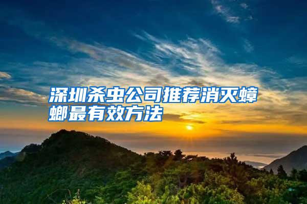 深圳殺蟲公司推薦消滅蟑螂最有效方法