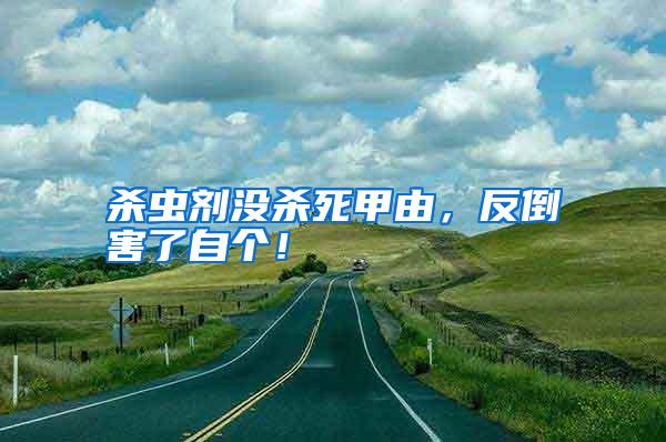 殺蟲劑沒殺死甲由,反倒害了自個!