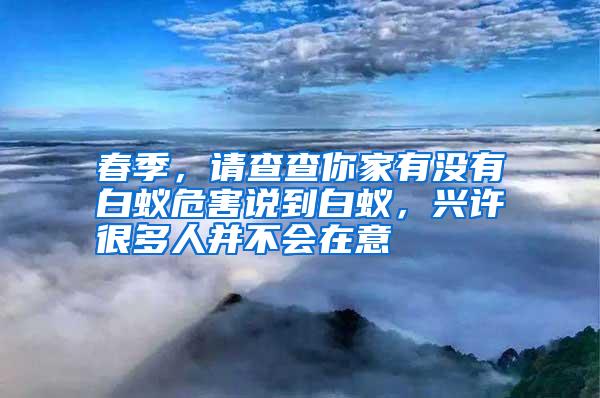 春季,請查查你家有沒有白蟻危害說到白蟻,興許很多人并不會在意