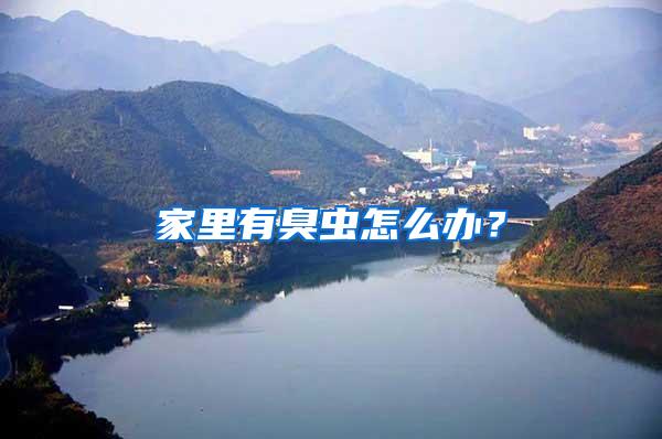 家里有臭蟲怎么辦?