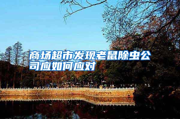 商場超市發(fā)現(xiàn)老鼠除蟲公司應如何應對