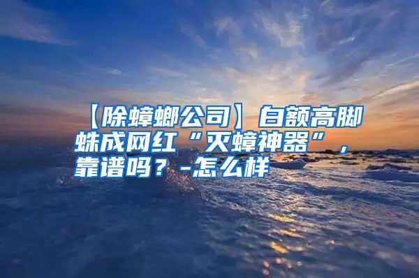 【除蟑螂公司】白額高腳蛛成網(wǎng)紅“滅蟑神器”,靠譜嗎?-怎么樣