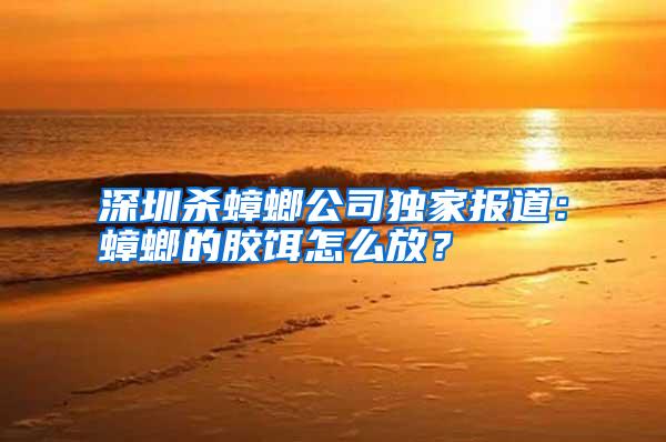 深圳殺蟑螂公司獨(dú)家報(bào)道：蟑螂的膠餌怎么放？