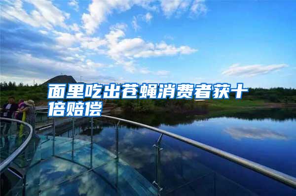 面里吃出蒼蠅消費(fèi)者獲十倍賠償