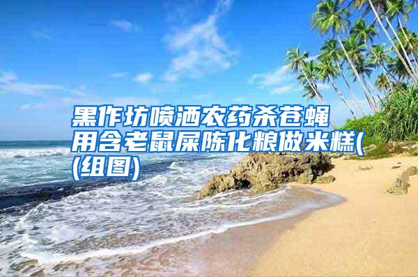 黑作坊噴灑農(nóng)藥殺蒼蠅 用含老鼠屎陳化糧做米糕((組圖)